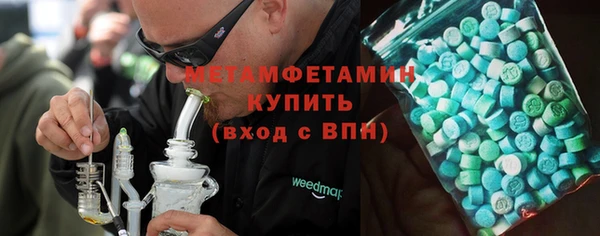 шишки Белокуриха