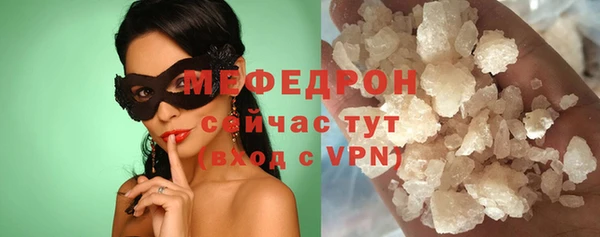 шишки Белокуриха