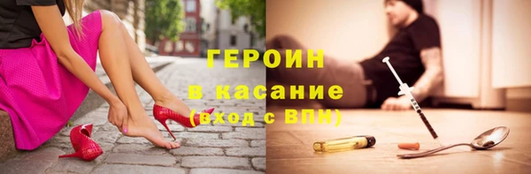 шишки Белокуриха