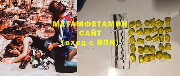 шишки Белокуриха