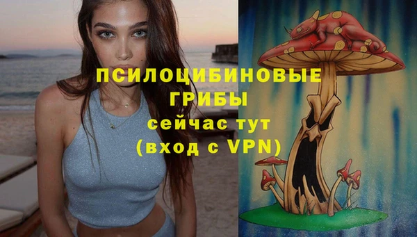 СК Богородицк