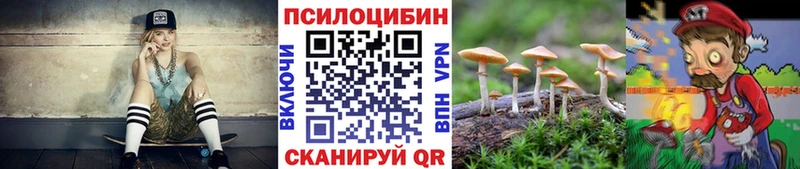 Галлюциногенные грибы Psilocybe  дарнет шоп  Боготол 